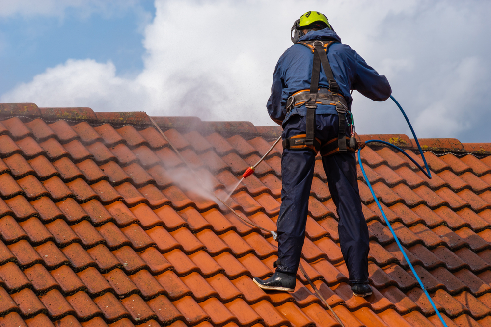 roof cleaning